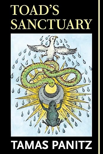 by Tamas Panitz &#39;14